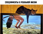 {$title}