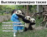 {$title}