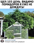 {$title}