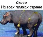 {$title}