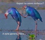 {$title}