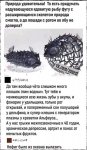 {$title}