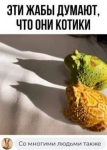 {$title}