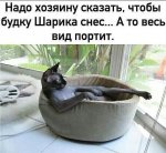 {$title}