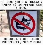 {$title}