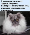 {$title}