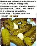 {$title}