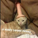 {$title}