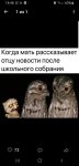 {$title}