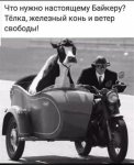 {$title}