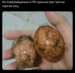 {$title}