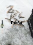{$title}