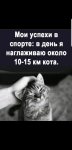 {$title}