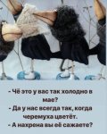 {$title}