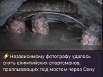 {$title}
