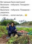 {$title}