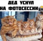 {$title}