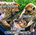 {$title}