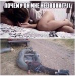 {$title}