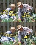 {$title}