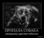 {$title}