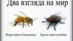 {$title}