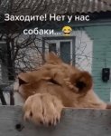 {$title}