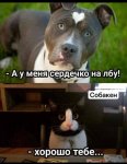 {$title}