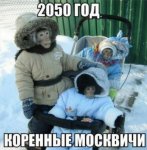 {$title}