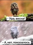 {$title}