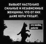 {$title}