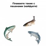 {$title}