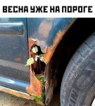 {$title}