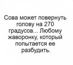 {$title}