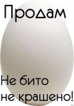 {$title}