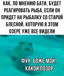 {$title}