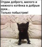 {$title}