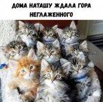 {$title}