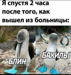{$title}
