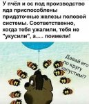 {$title}