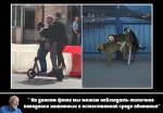 {$title}