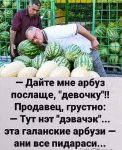{$title}