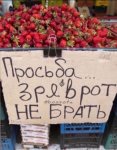 {$title}