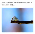 {$title}