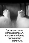 {$title}