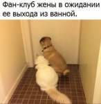 {$title}