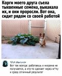 {$title}