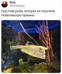 {$title}