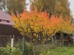 IMG_0698.jpeg