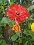 IMG_20250517_124512_1.jpg